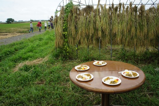 田んぼカレー　2682