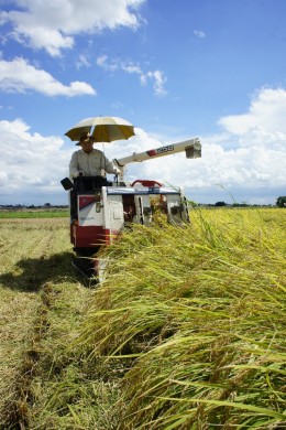コンバイン　2114