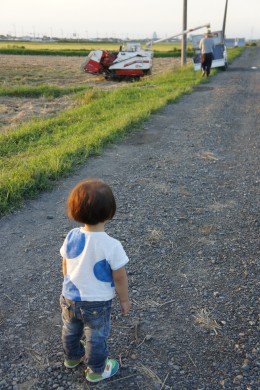 とーちゃん　3023