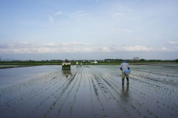 58田植え機とripa