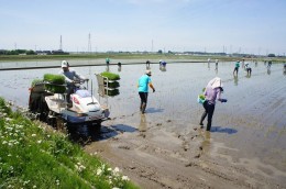 511田植え機とみんな